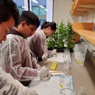 Students look at plants in the lab.