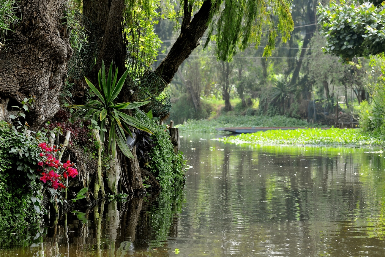 Green, tropical plants and some signs of human infrastructure surround a narrow body of water